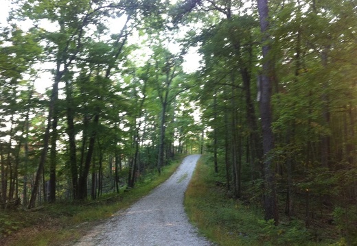 Auxier Ridge, a year after the fire